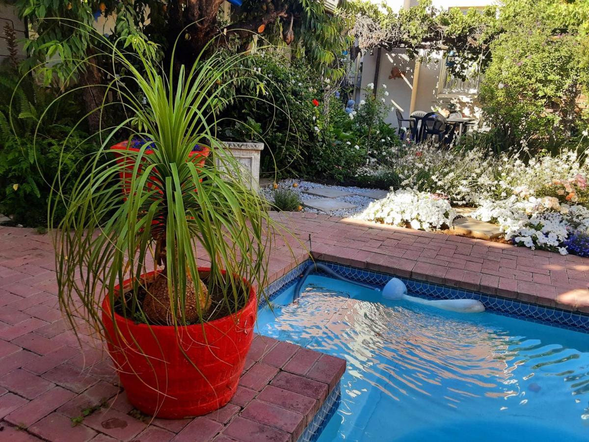 Cathy's Guest House Cradock Extérieur photo