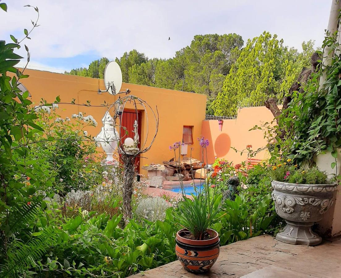 Cathy's Guest House Cradock Extérieur photo