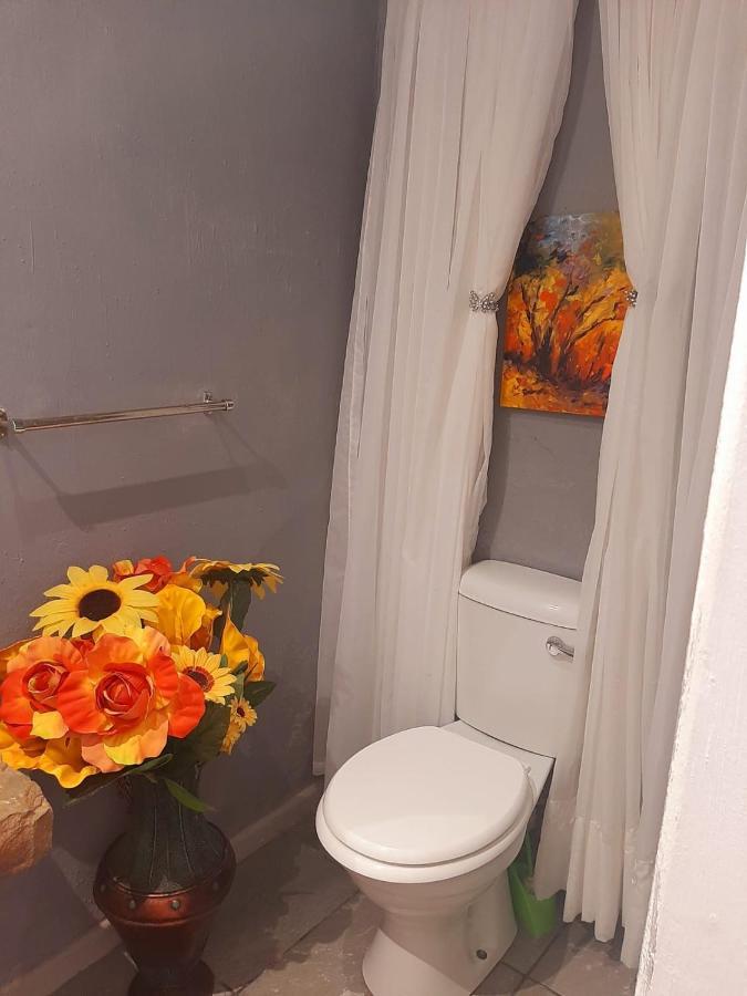 Cathy's Guest House Cradock Extérieur photo