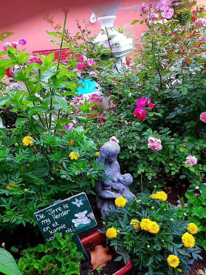 Cathy's Guest House Cradock Extérieur photo